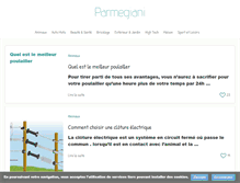 Tablet Screenshot of parmegiani.fr